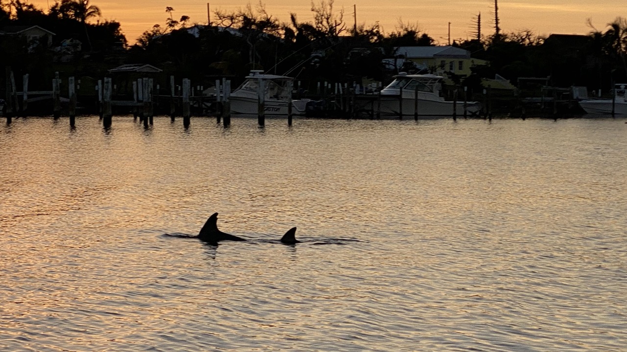 Photo of Others in Treasure Cay