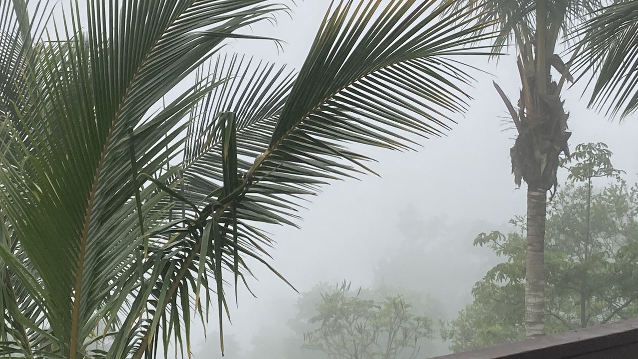Photo of Outdoor in Aibonito