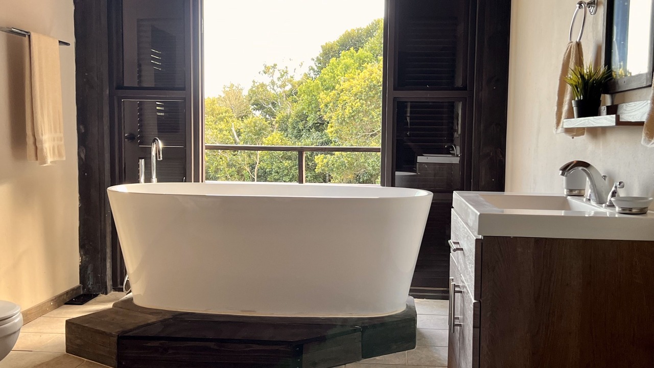 Photo of Bathroom in Aibonito