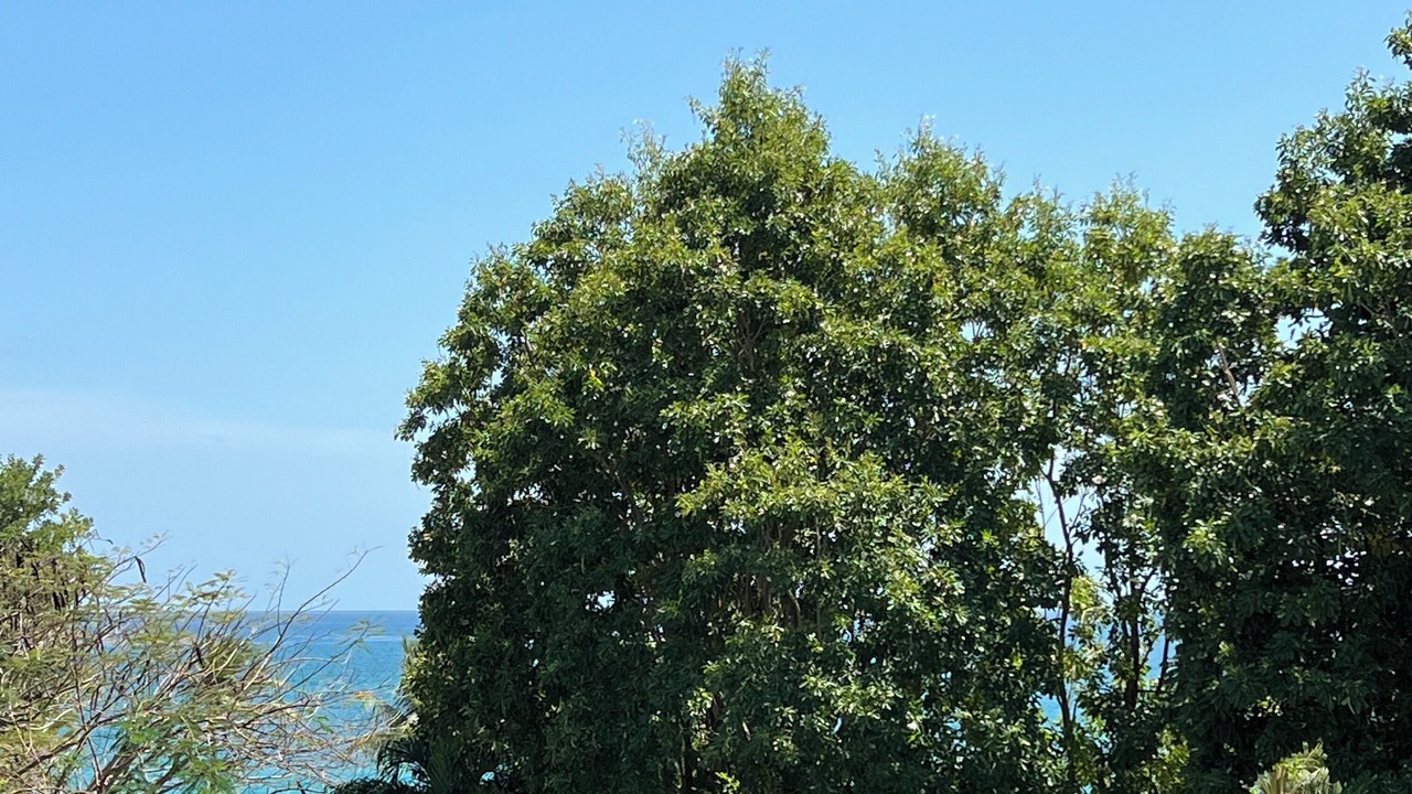 Photo of Others in Pointe de la verdure