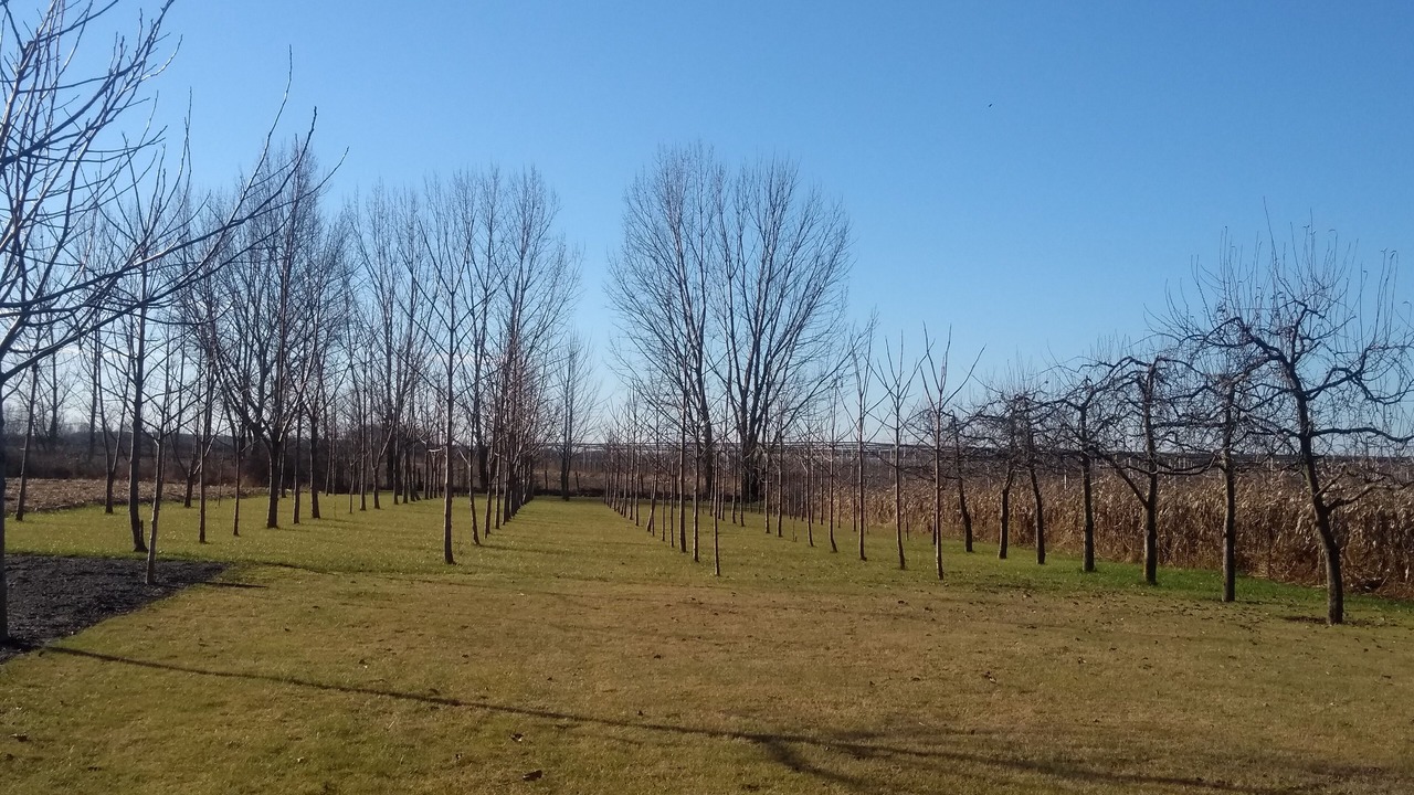 Photo of Outdoor in Patyod