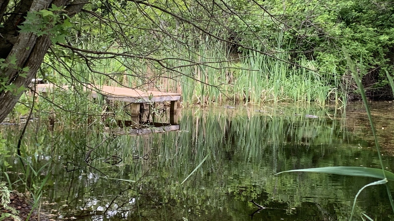 Photo of Outdoor in Saunderstown