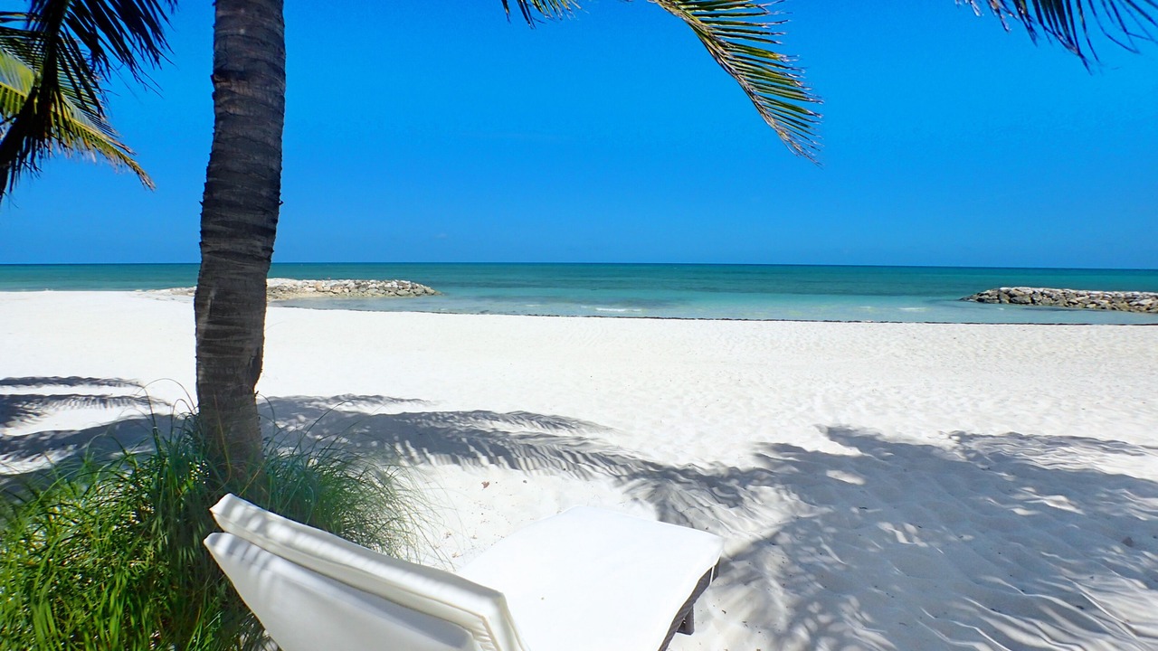 Photo of Others in Palm Cay