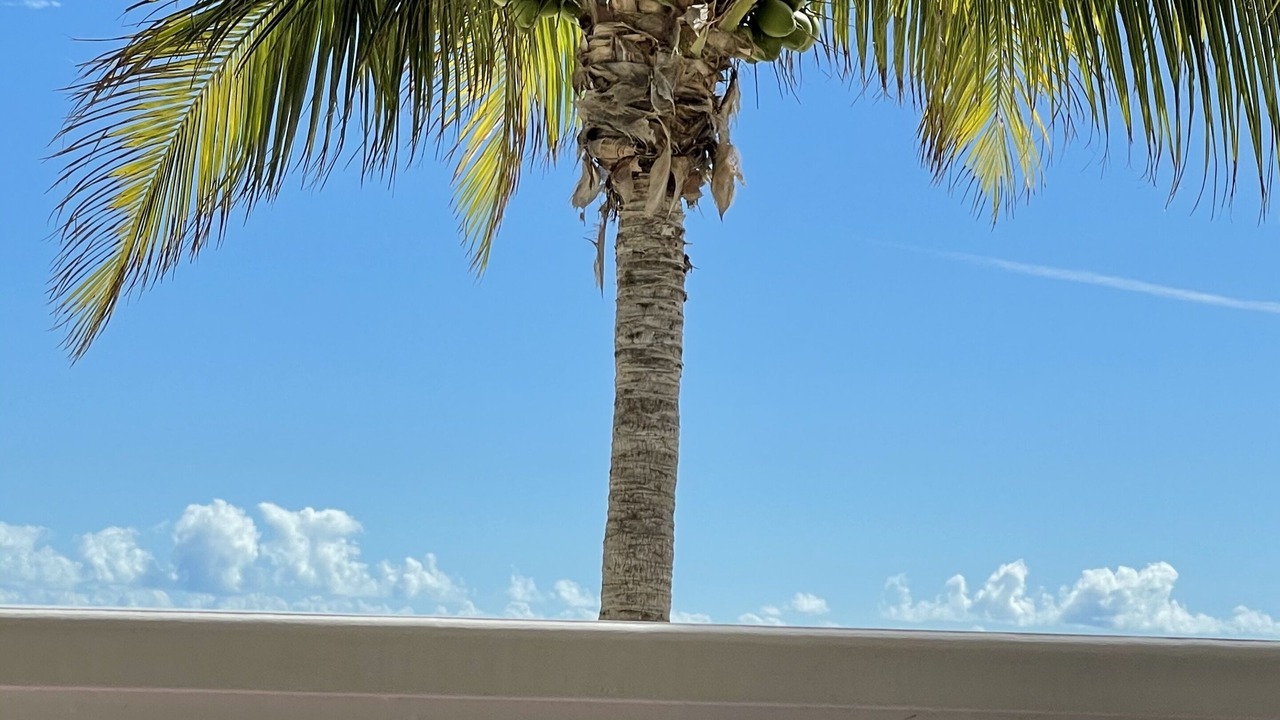 Photo of Outdoor in Palm Cay