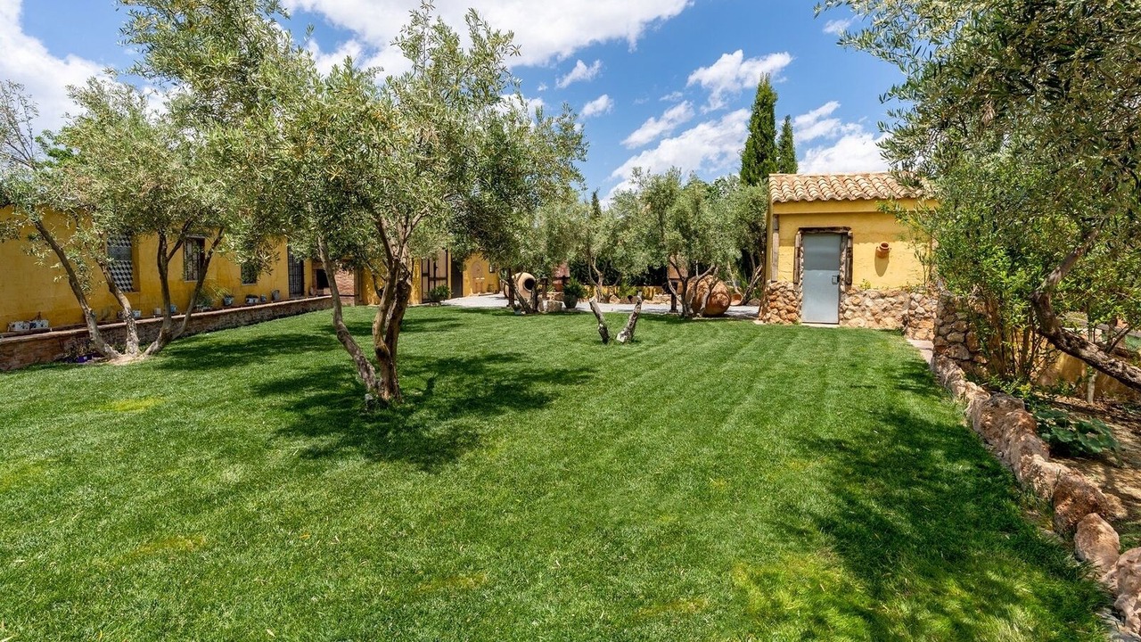 Photo of Outdoor in Baza