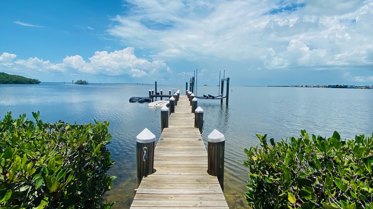 Photo of Others in Tavernier