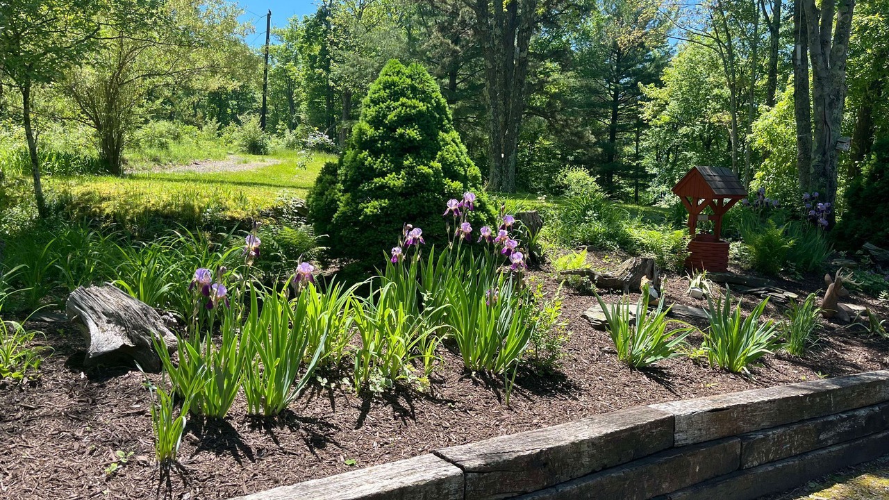 Photo of Others in Mainesburg