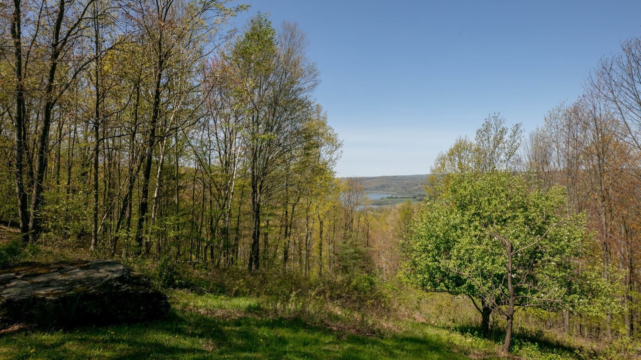 Photo of Others in Mainesburg
