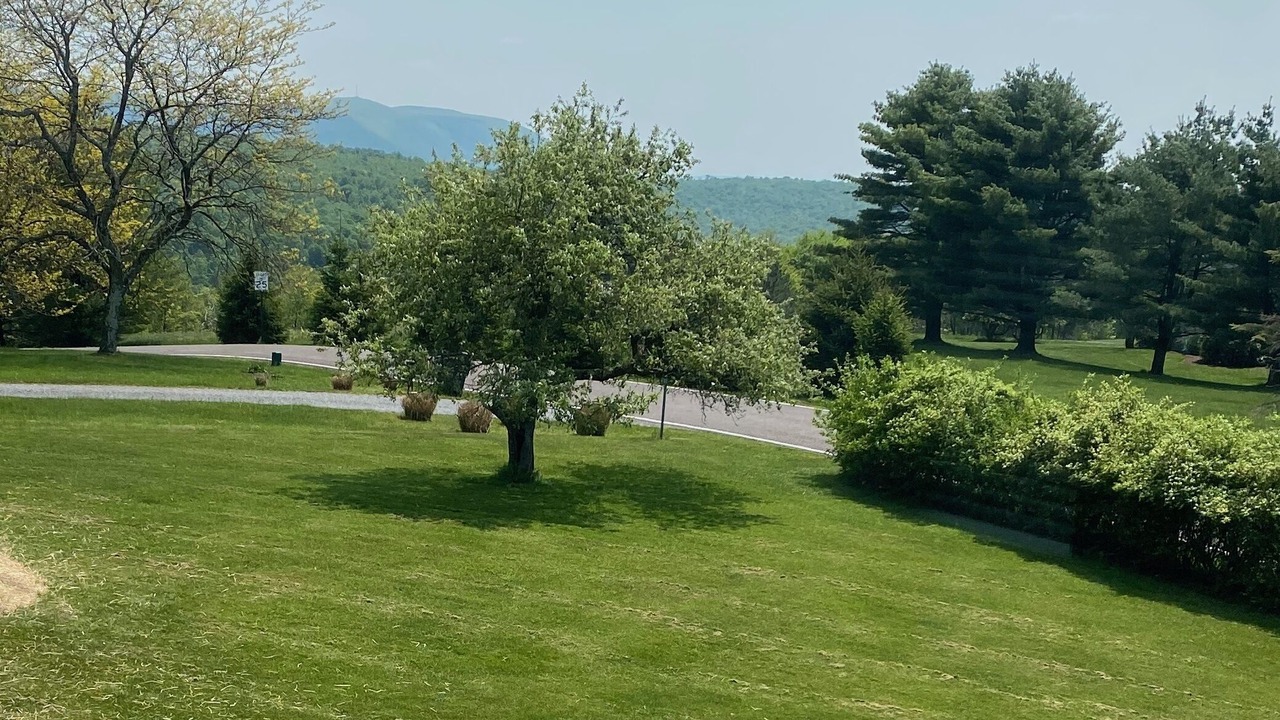 Photo of Outdoor in Eagles Mere