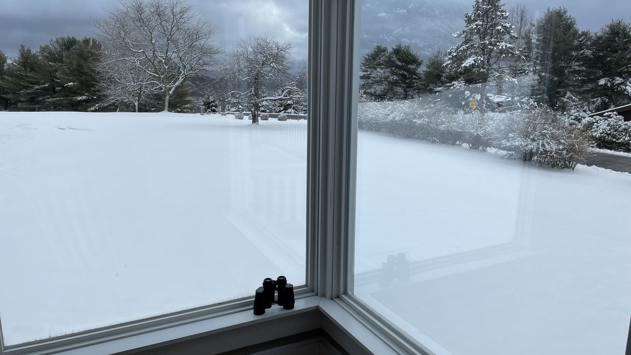 Photo of Bedroom in Eagles Mere