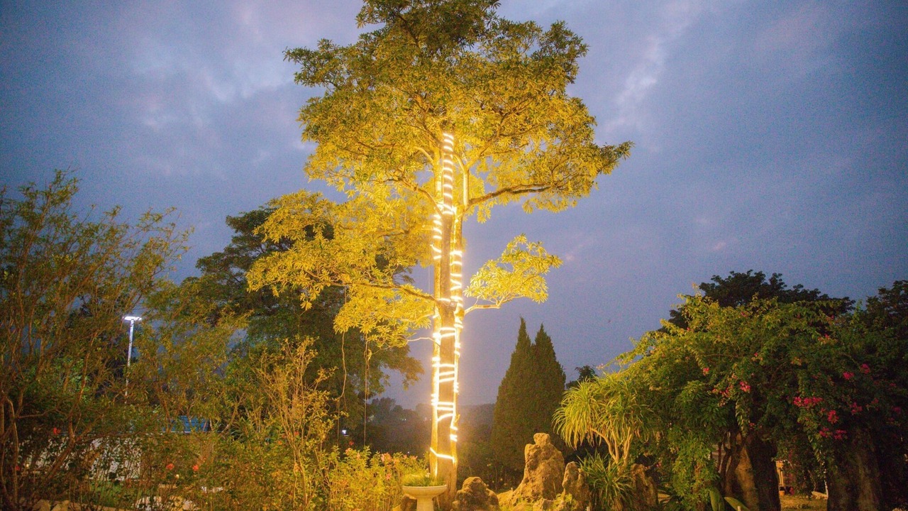 Photo of Outdoor in Luong Son