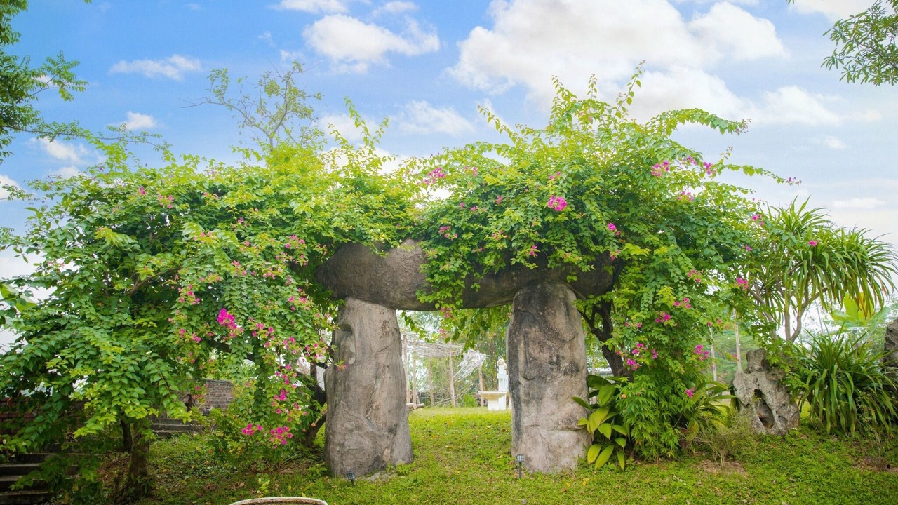 Photo of Outdoor in Luong Son