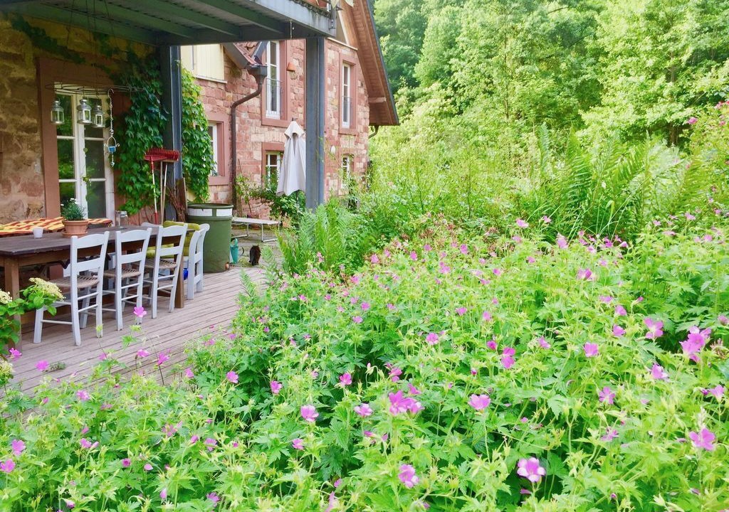 Photo of Outdoor in Klingenmuenster