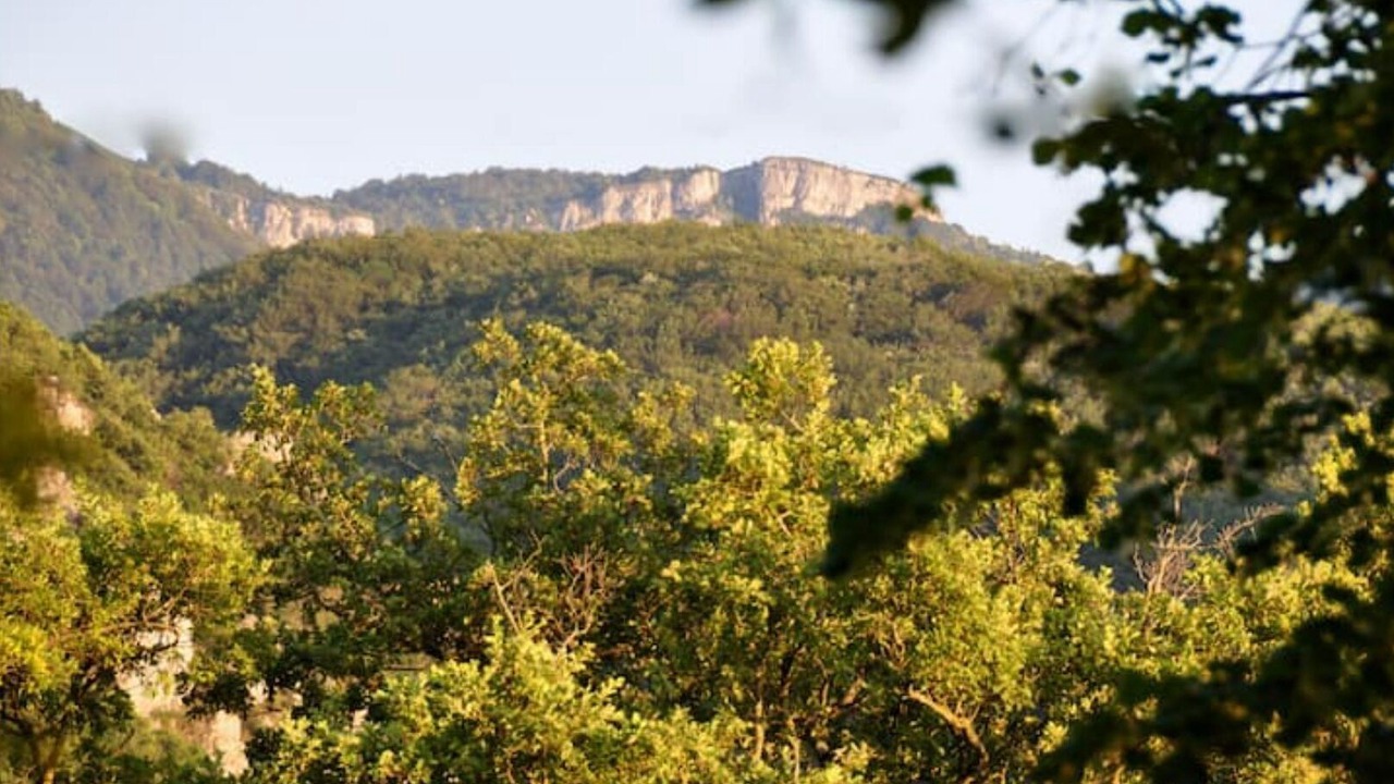 Photo of Outdoor in Saint-Vincent-la-Commanderie