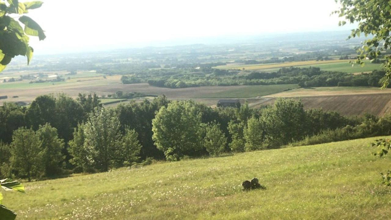 Photo of Outdoor in Saint-Vincent-la-Commanderie