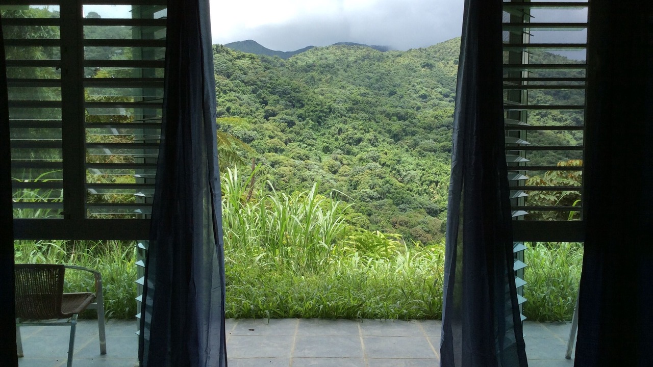 Photo of Others in Naguabo
