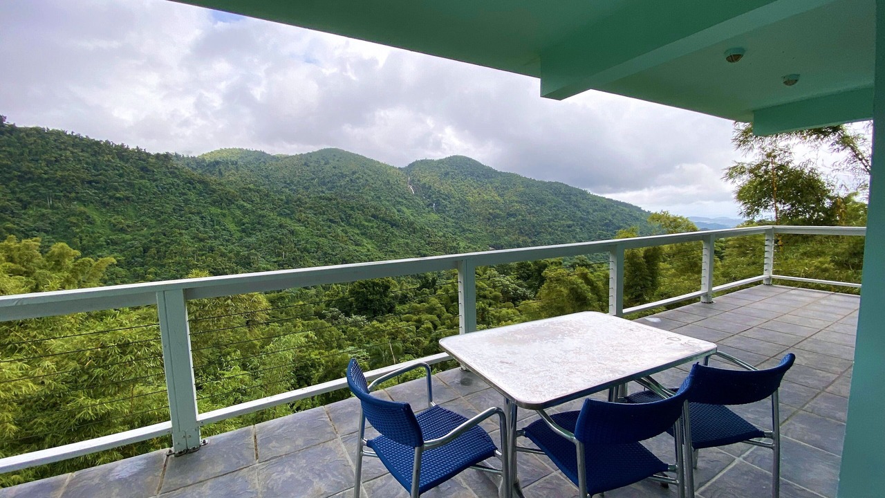 Photo of Outdoor in Naguabo