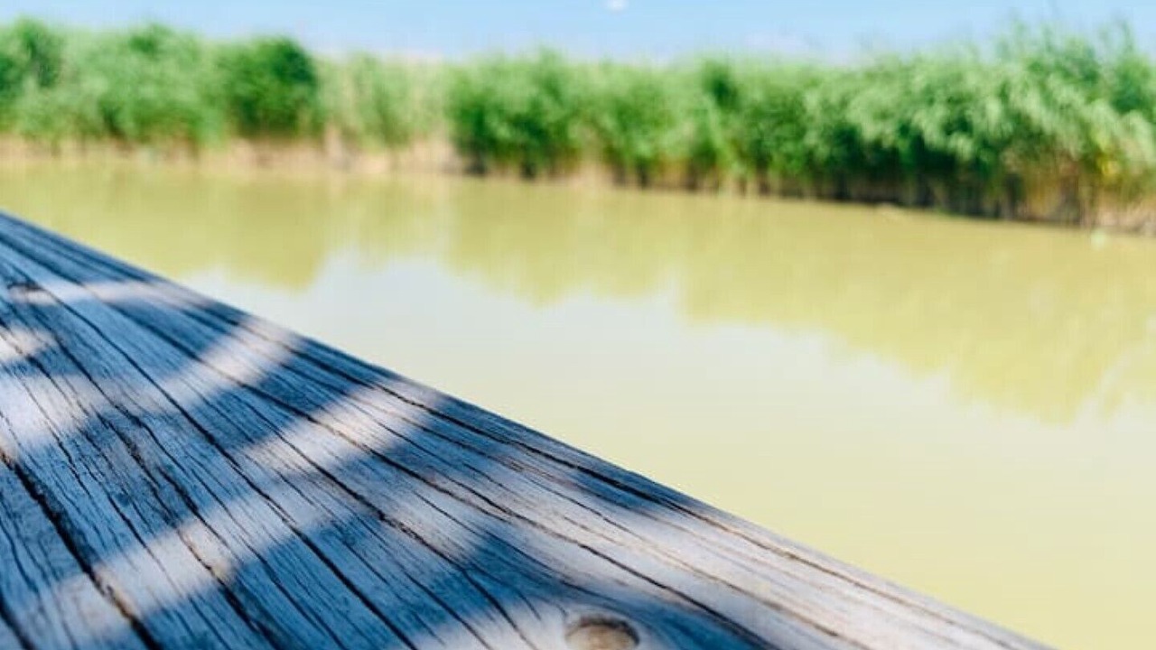 Photo of Outdoor in Rust
