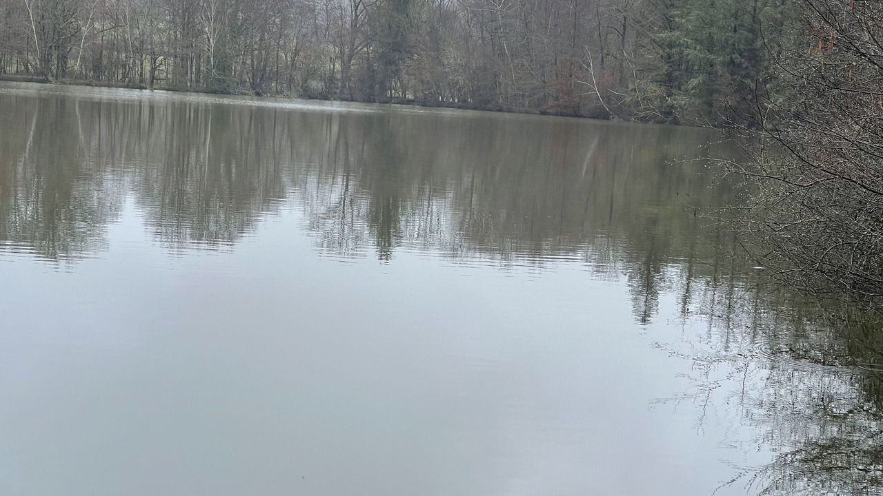 Photo of Outdoor in Ladignac le Long