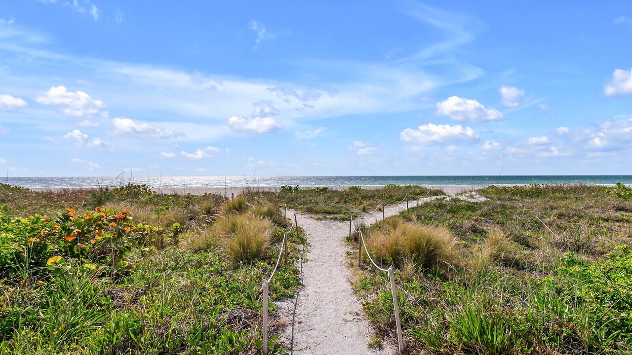 Photo of Others in Sand Key