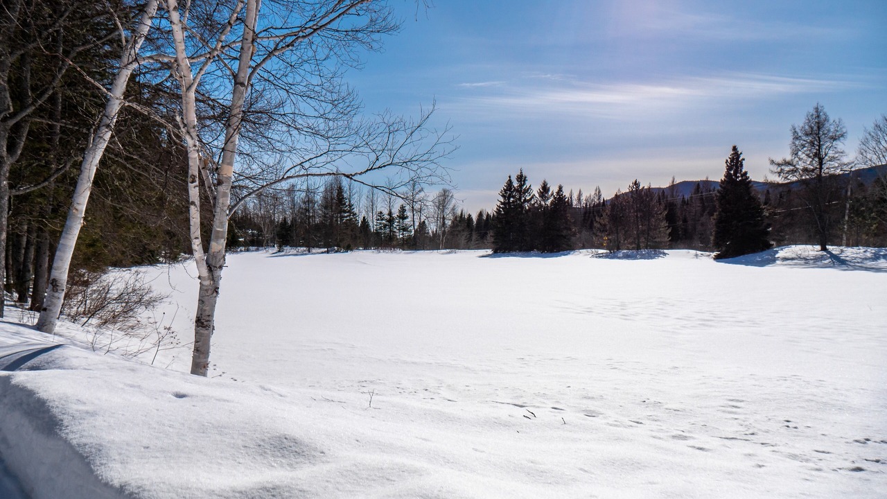 Photo of Others in La Malbaie