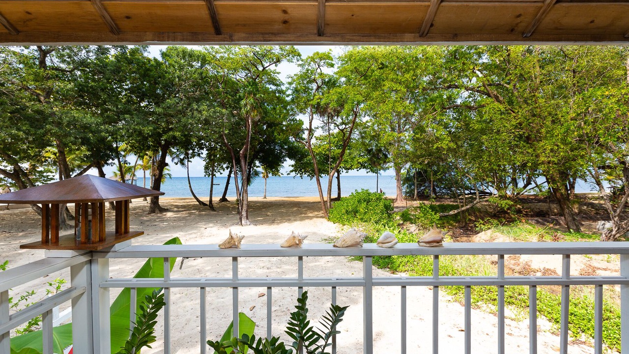 Photo of Outdoor in Palmetto Bay