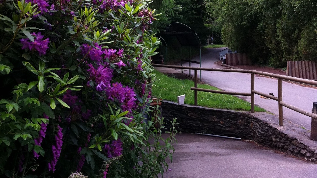 Photo of Outdoor in Caurel