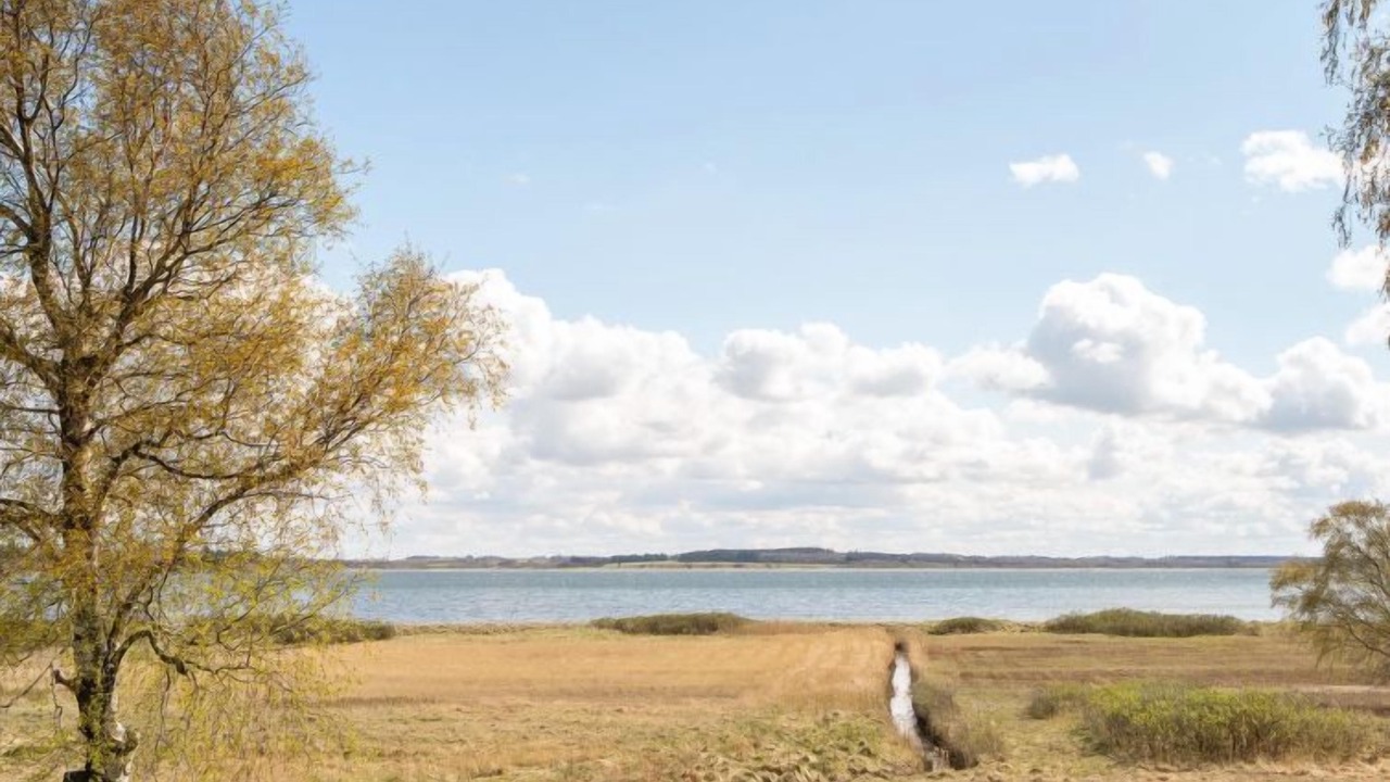 Photo of Others in Ronbjerg