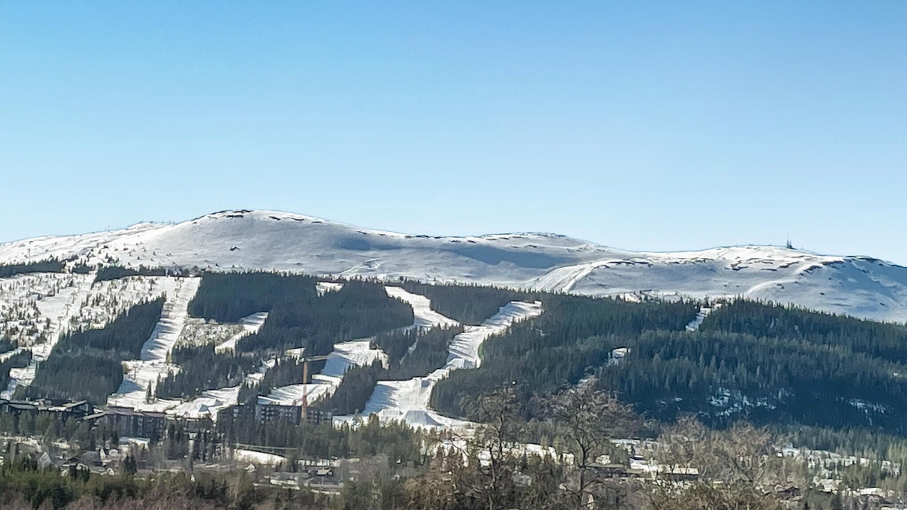 Photo of Others in Grondalen