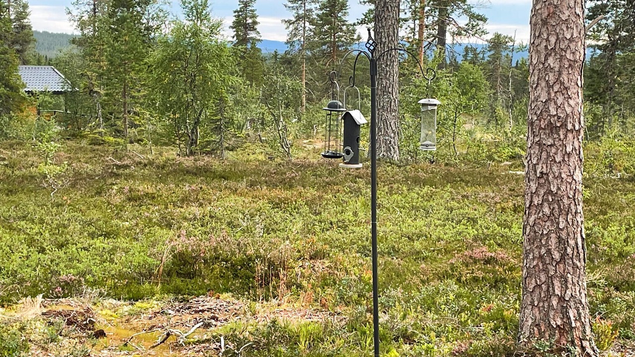 Photo of Others in Trysil