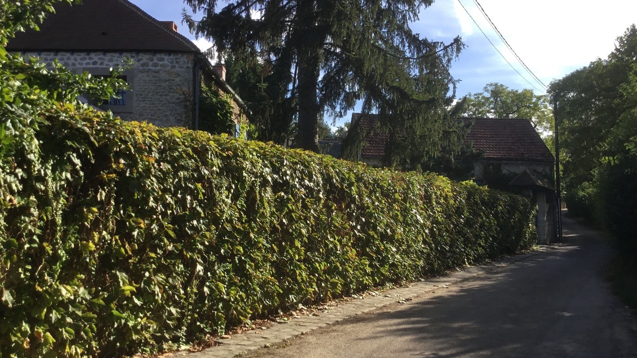 Photo of Outdoor in Mereville