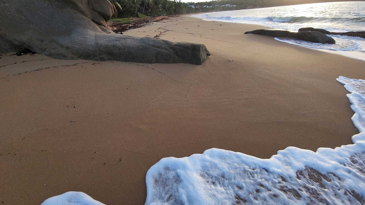 Photo of Others in Yabucoa