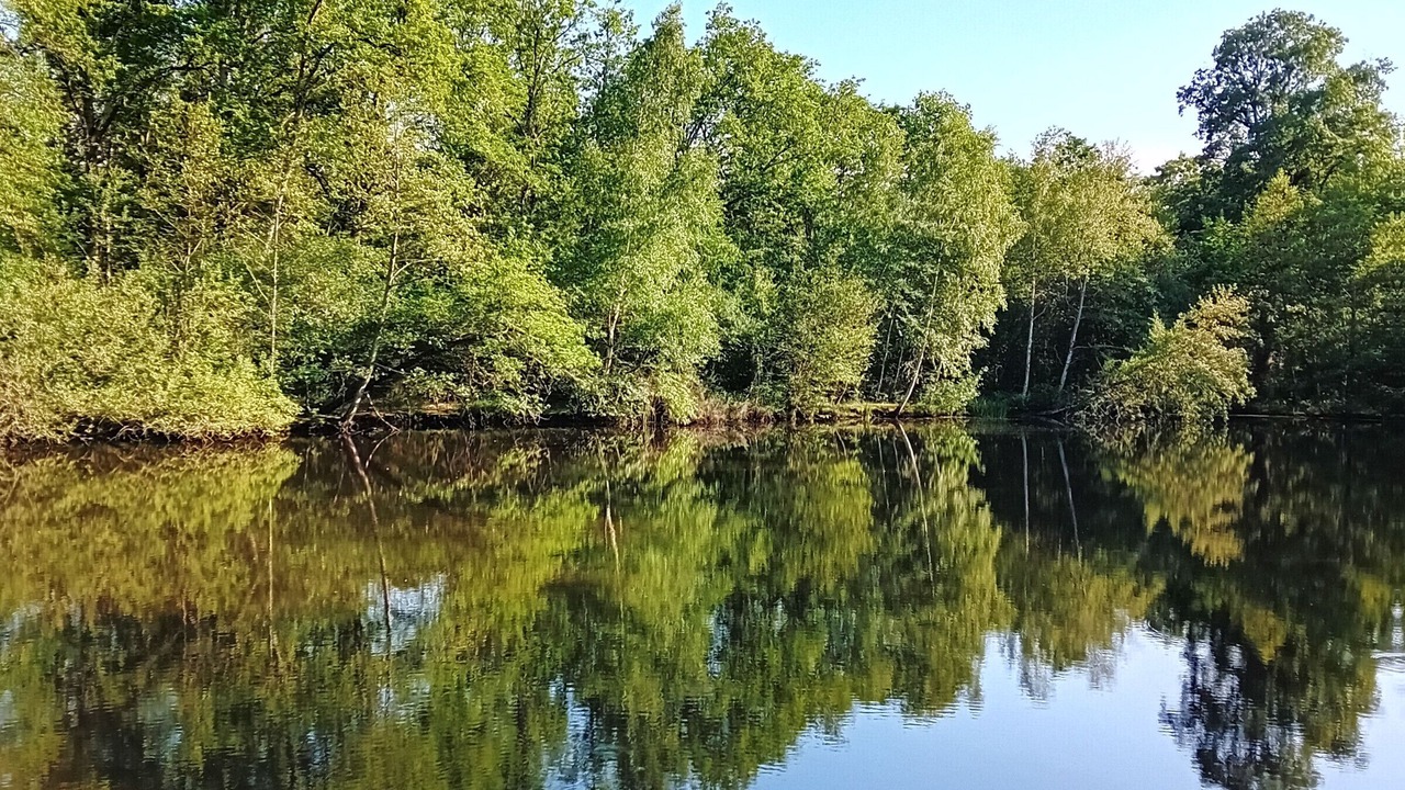 Photo of Outdoor in Sainte-Montaine