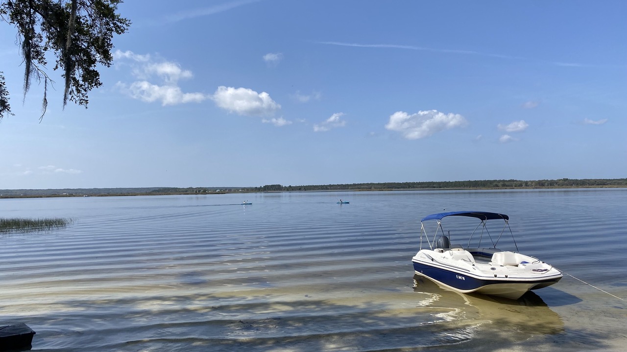 Photo of Others in Salt Springs