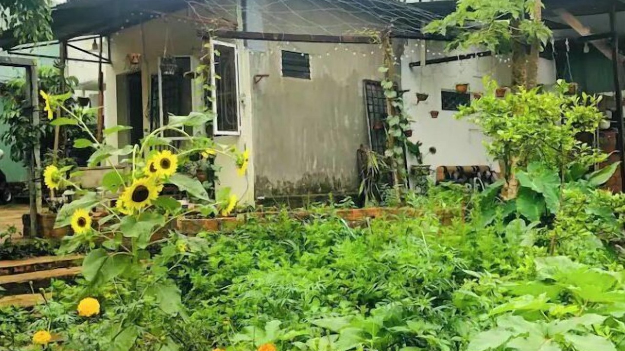 Photo of Outdoor in Pleiku