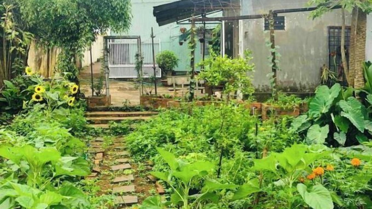 Photo of Outdoor in Pleiku