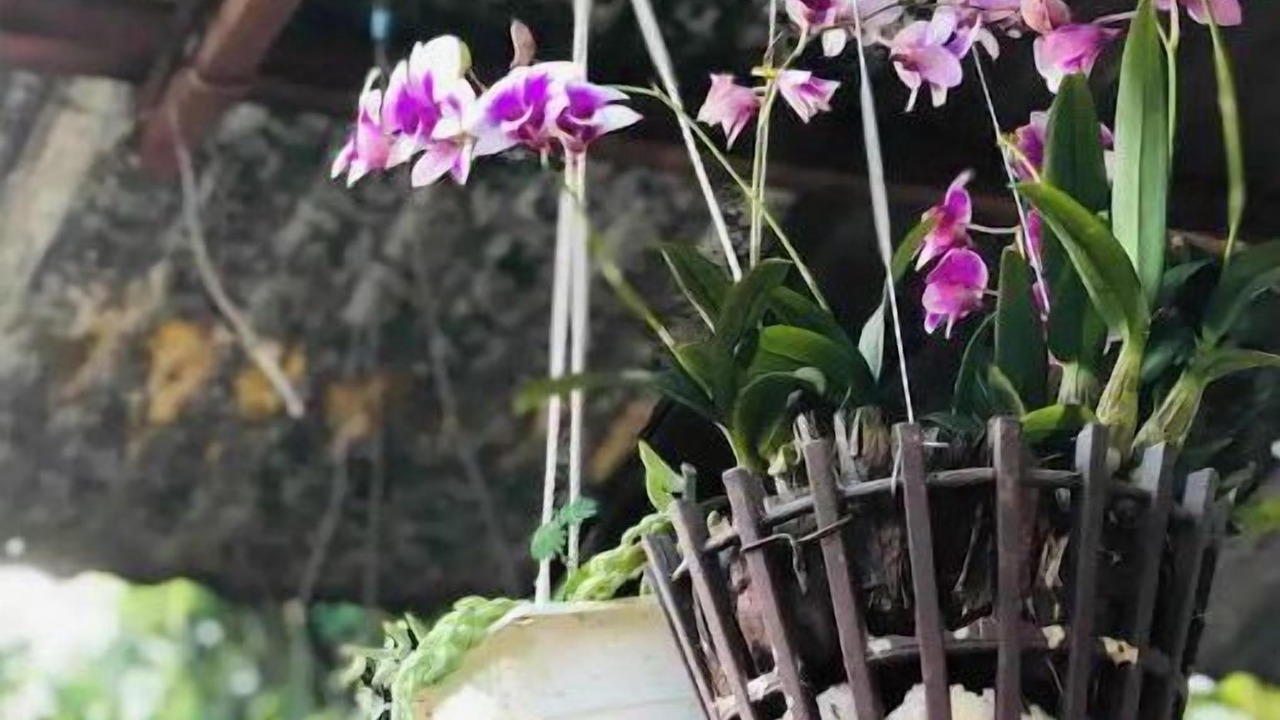 Photo of Outdoor in Pleiku