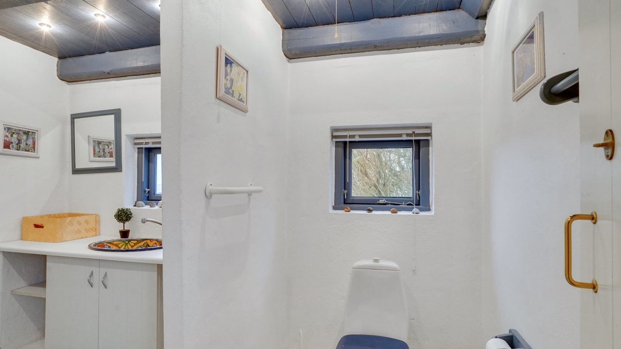 Photo of Bathroom in Fur