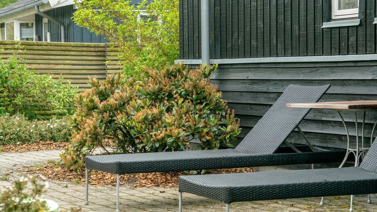 Photo of Others in Vejlby Fed