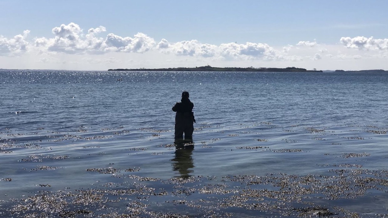 Photo of Outdoor in Diernæs