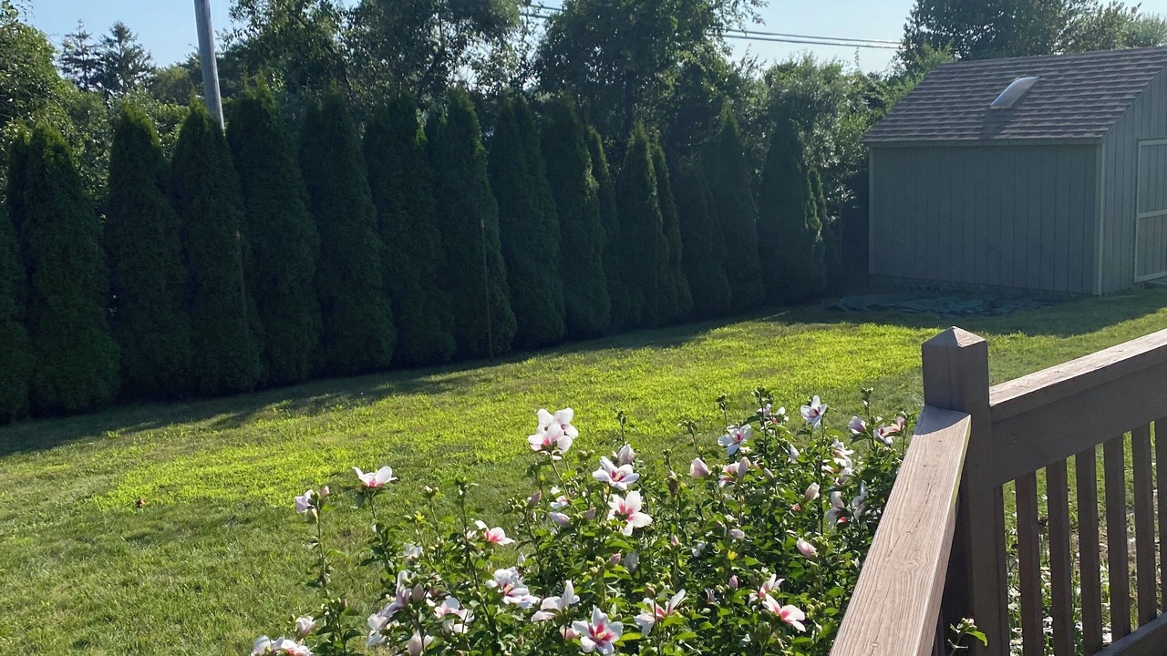 Photo of Outdoor in Eastward Look