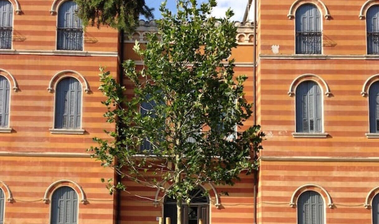 Photo of Outdoor in San Martino Buon Albergo