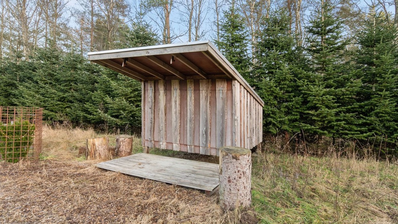 Photo of Outdoor in Helberskov
