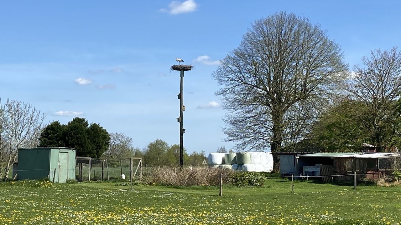 Photo of Outdoor in Tonder