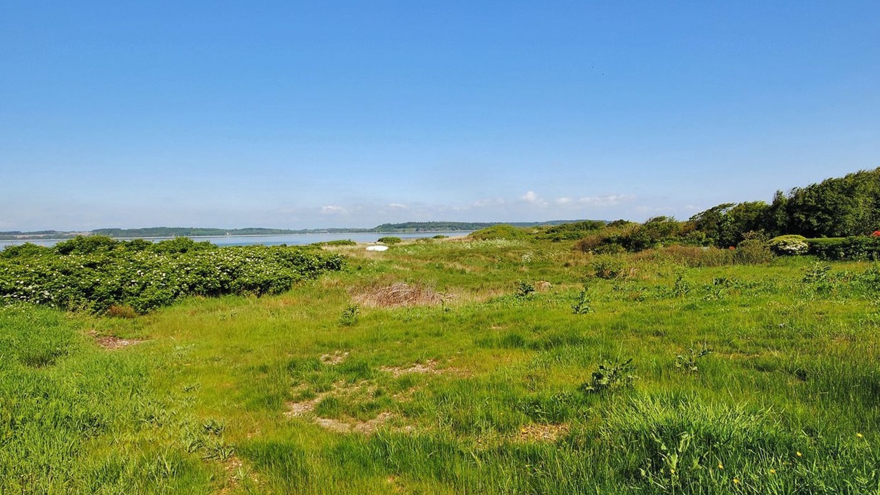 Photo of Others in Ronbjerg