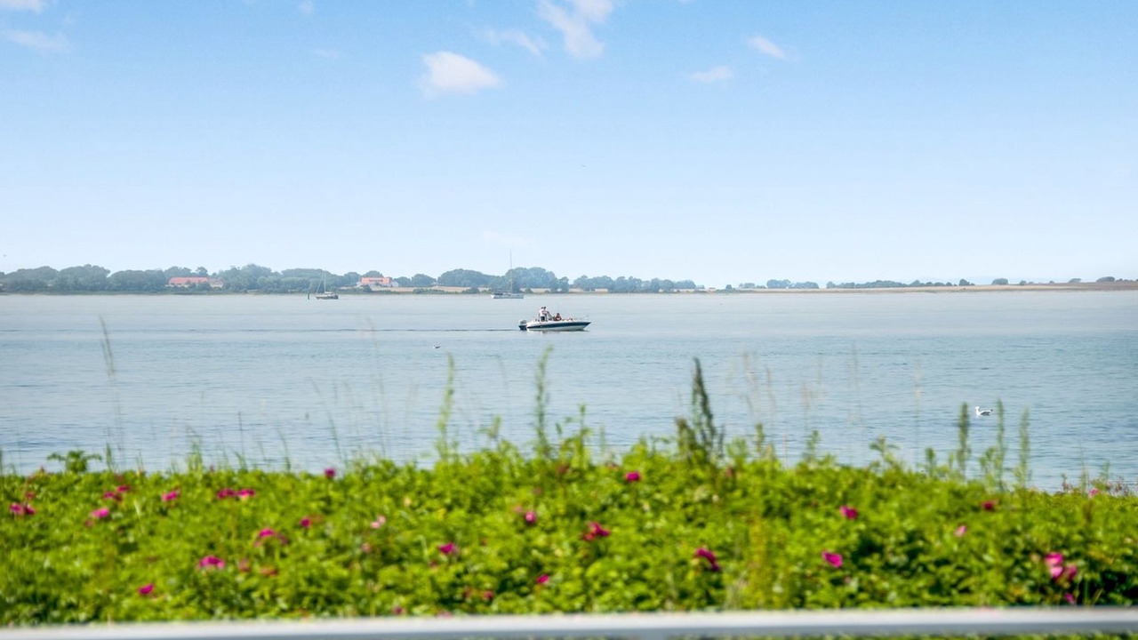 Photo of Others in Assens