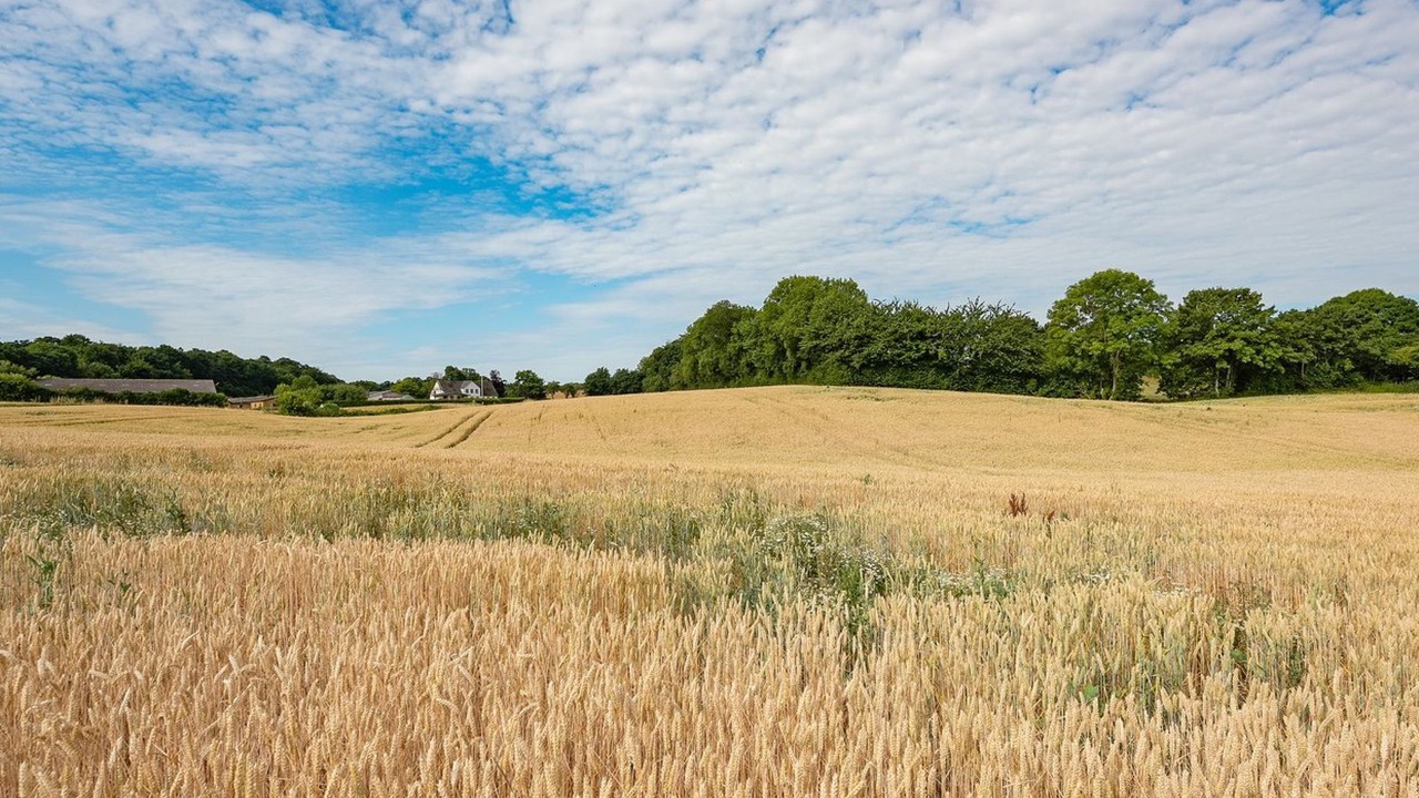 Photo of Outdoor in Asserballeskov