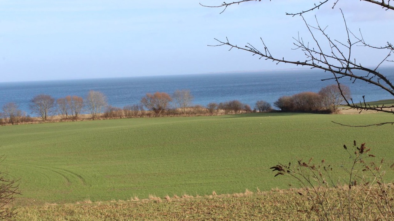 Photo of Others in Kettingskov
