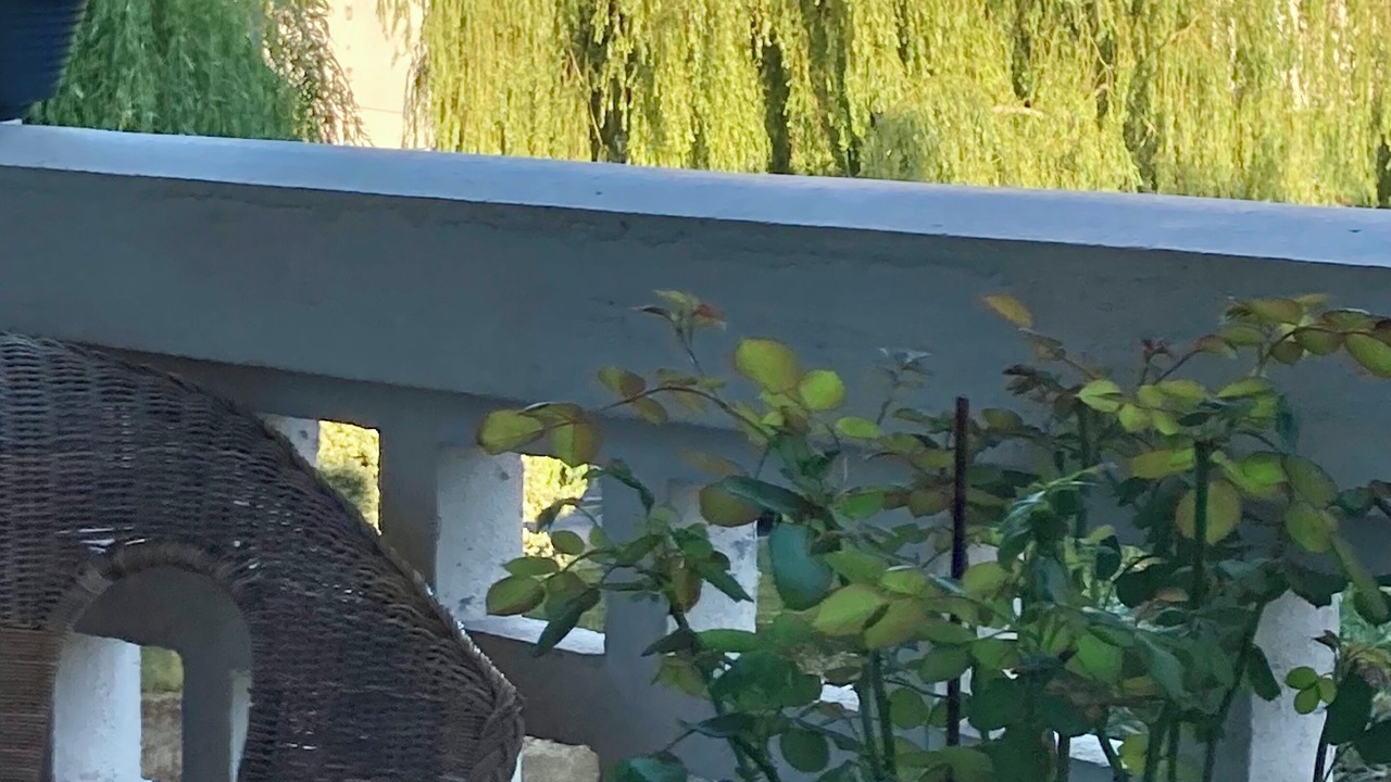 Photo of Outdoor in Lisieux