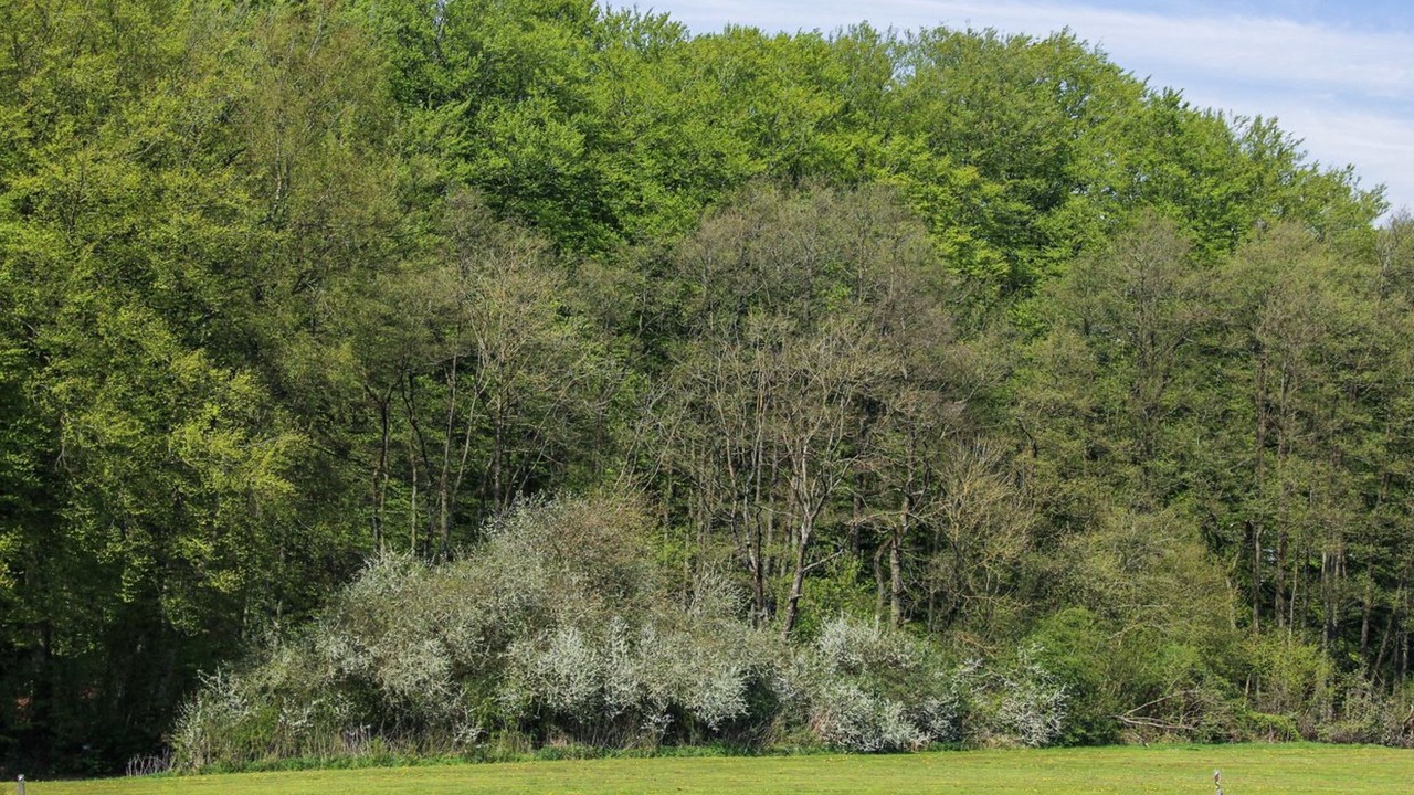 Photo of Others in Andkær Vig